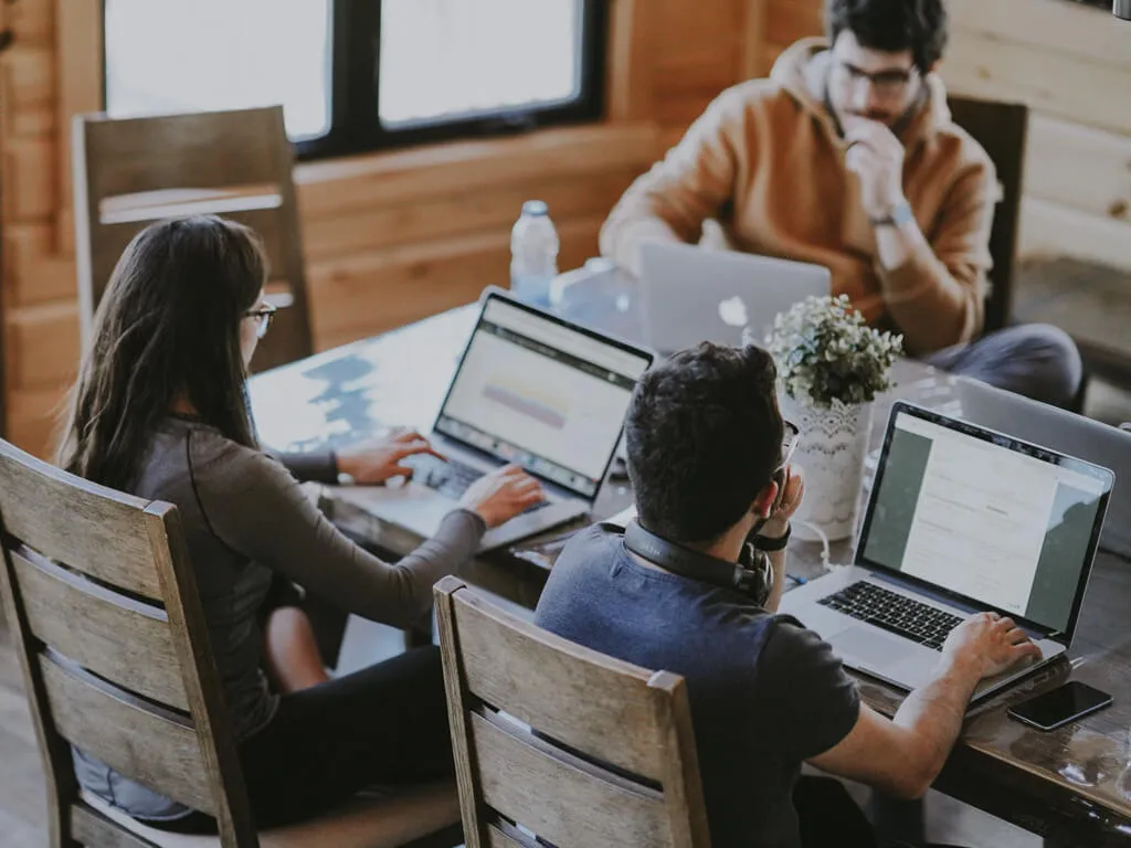 Developers working on websites